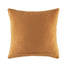 Barney Cushion