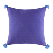 Kanha Cushion