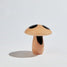 Mushroom Spots Sculpture SCULPTURES BEN DAVID BY KAS Nude Large 22x22x25cm